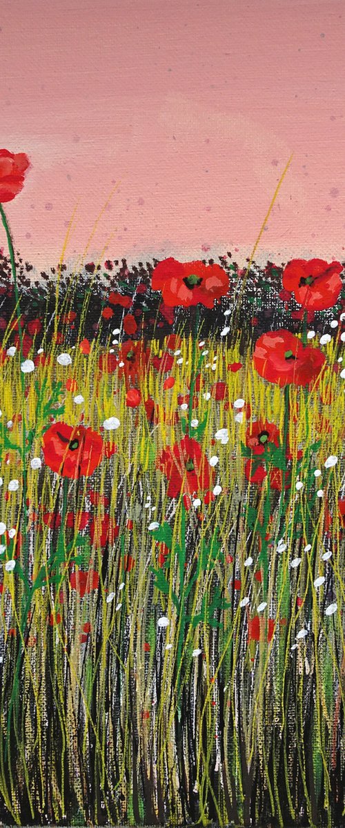 Wildflower Meadow 20 by Roz Edwards