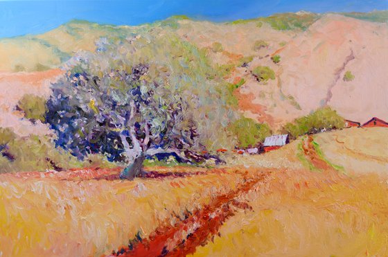 Summer Landscape, California