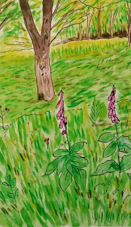 Foxgloves Forest - 7.9 x 5.9 by Kitty  Cooper