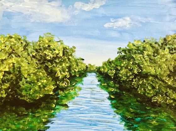 Mangroves