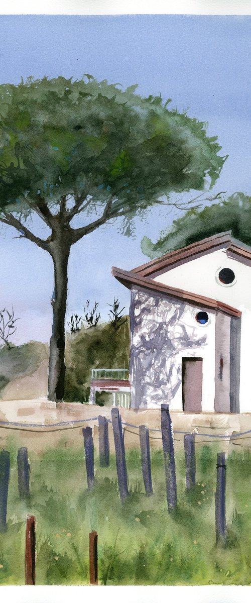 Captivating Italy: Stone Pine And White Small Houses by Olga Tchefranov (Shefranov)