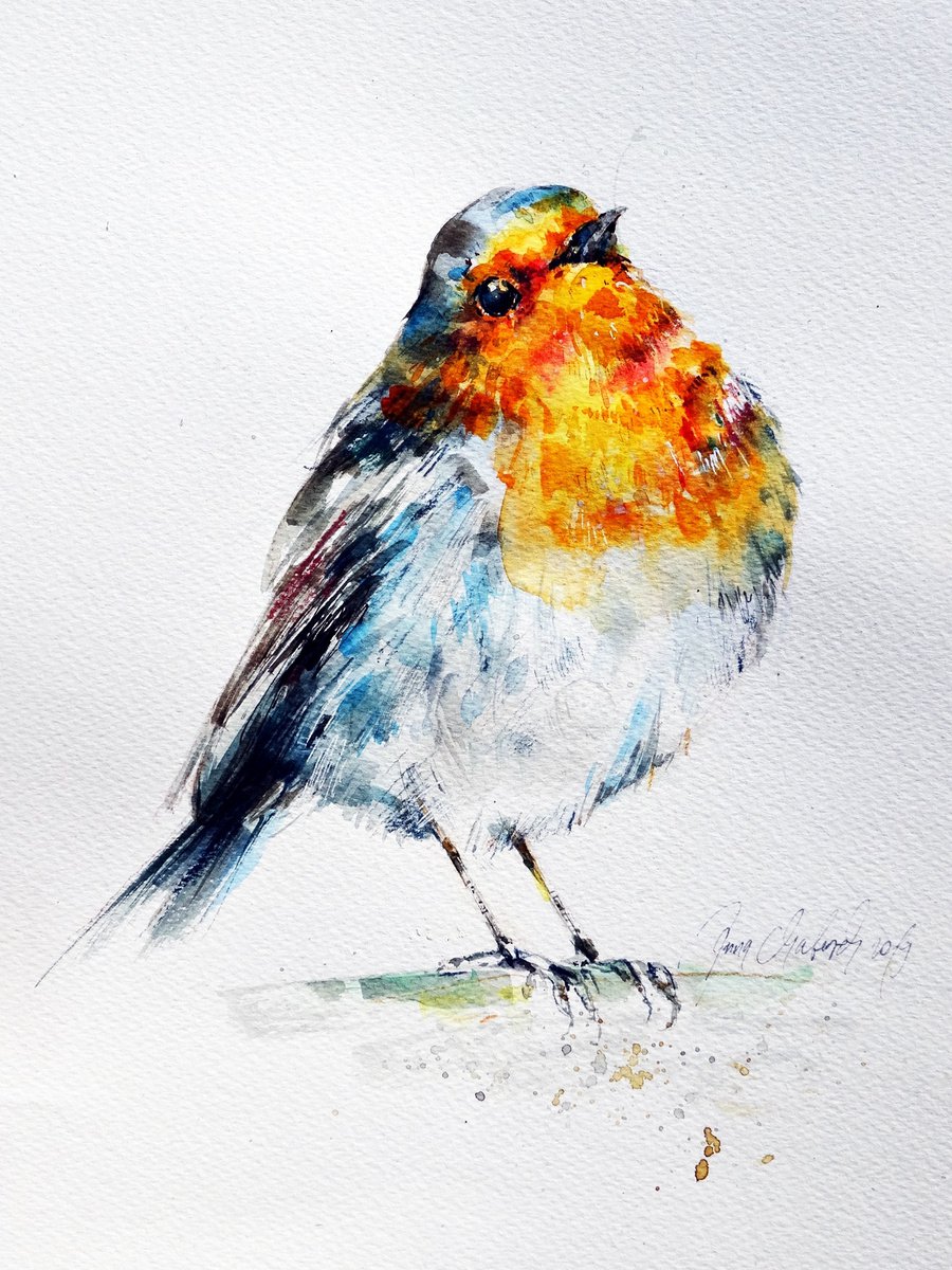Robin watercolour by Anna Maria
