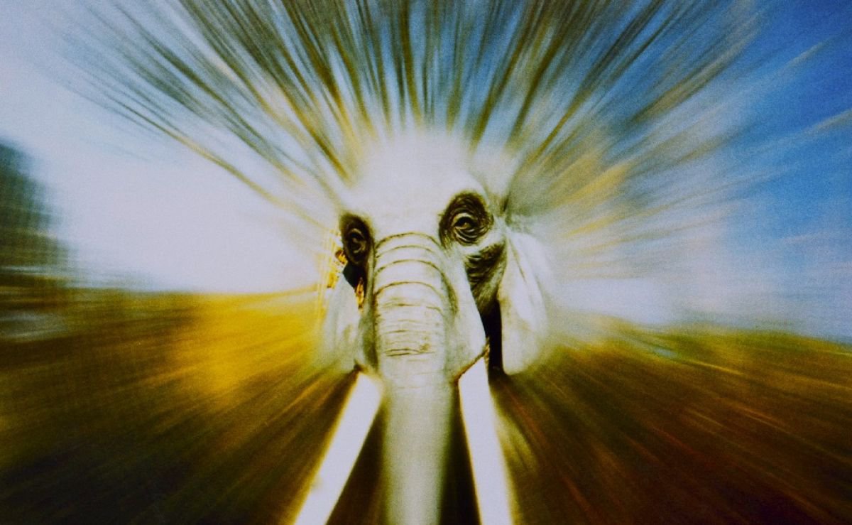 Abstract Animal Photograph By Marc Ehrenbold, 40 X 30", Giant Rush, Original Artwork