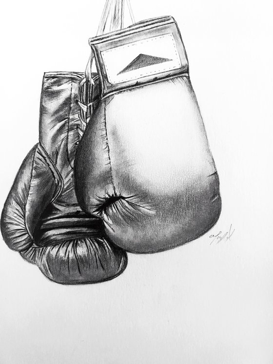 Boxing gloves