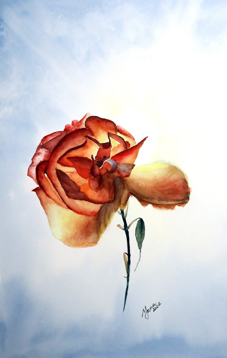 Red Rose in Watercolor - Original Art by Yana Shvets