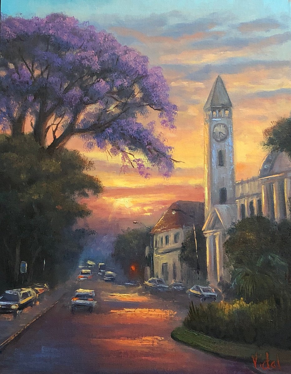 Jacaranda Morning by Christopher Vidal