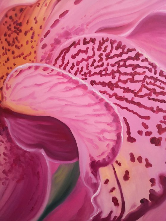 Orchid - a flower of passion, number 3