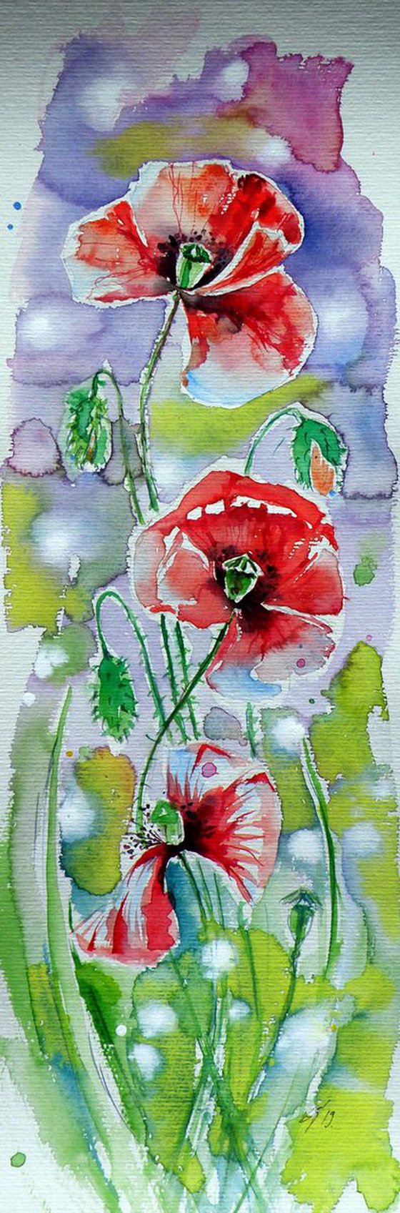 Poppies of summer V