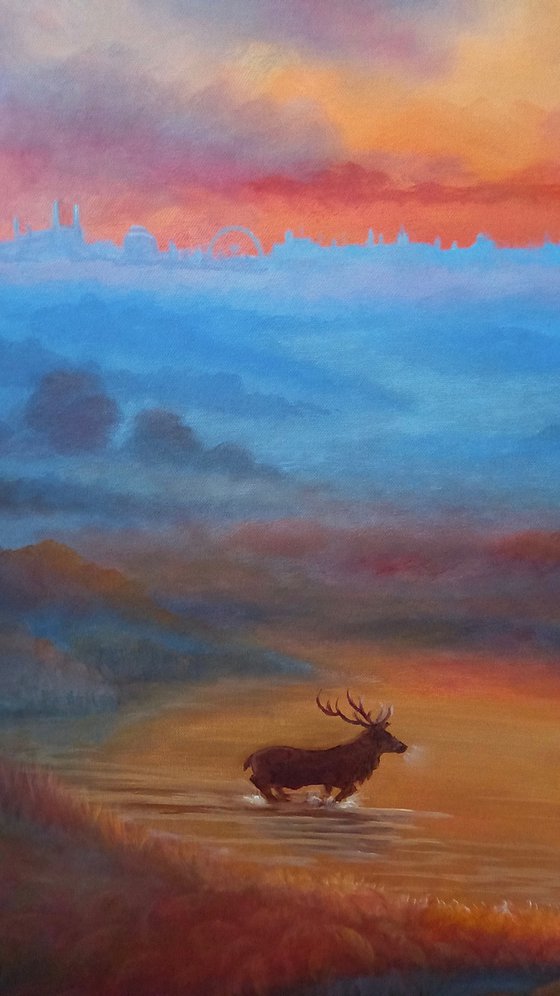 Richmond Park Sunrise