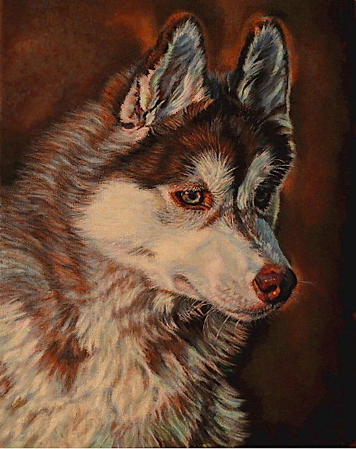 "Axel" ~ Red Siberian Husky by Karin Press Cohen