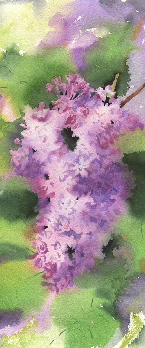 Ukrainian watercolour. Lilac by Nina Zakharova