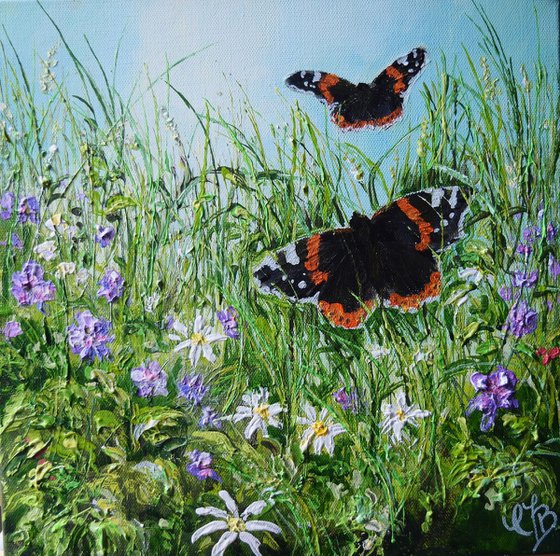 Red Admirals