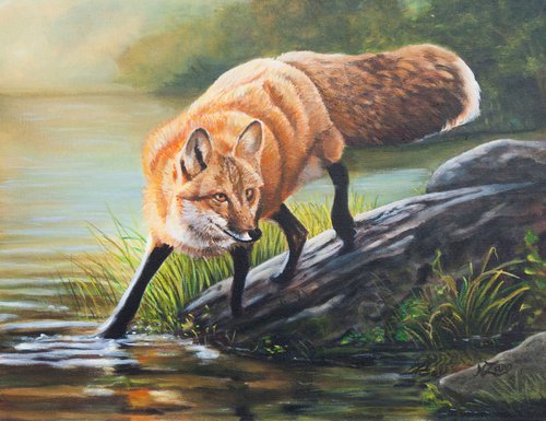 Fox in the river by Norma Beatriz Zaro