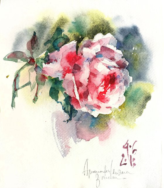 "Scent of rose" original watercolor