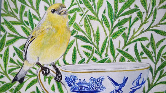 A Canary called Willow