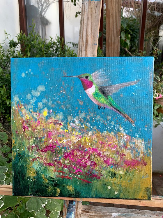 Anna's Hummingbird