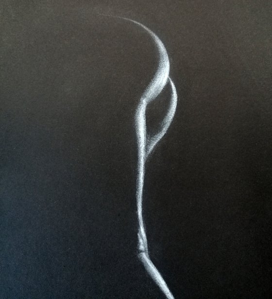 Nude noir #261 (21X29)cm