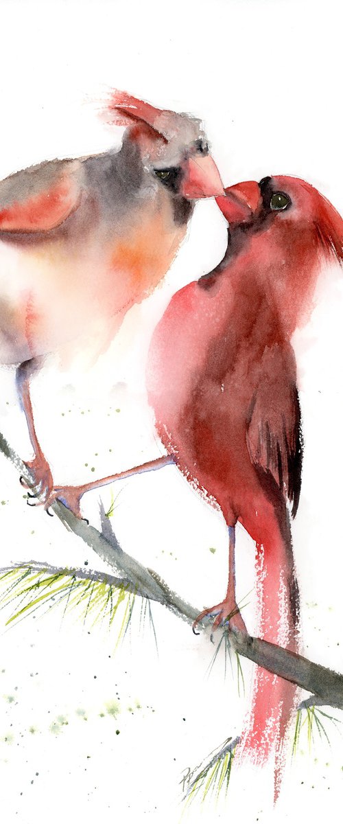 Cardinals in love by Olga Tchefranov (Shefranov)