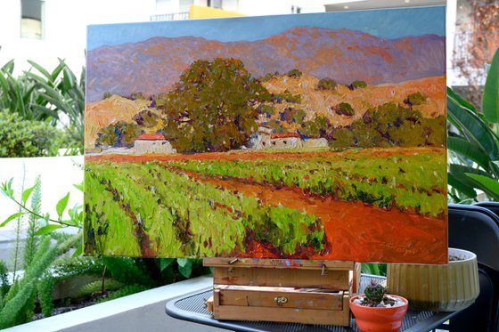 Southern California Vineyards