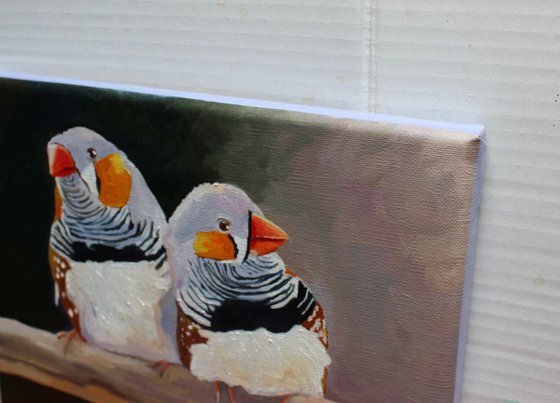 Zebra Finches