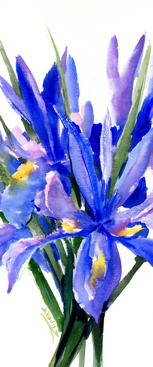 Blue Dutch Iris Flowers by Suren Nersisyan