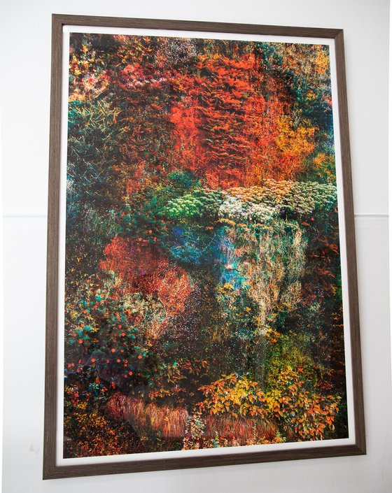 Wall of Nature LXVII (Framed)