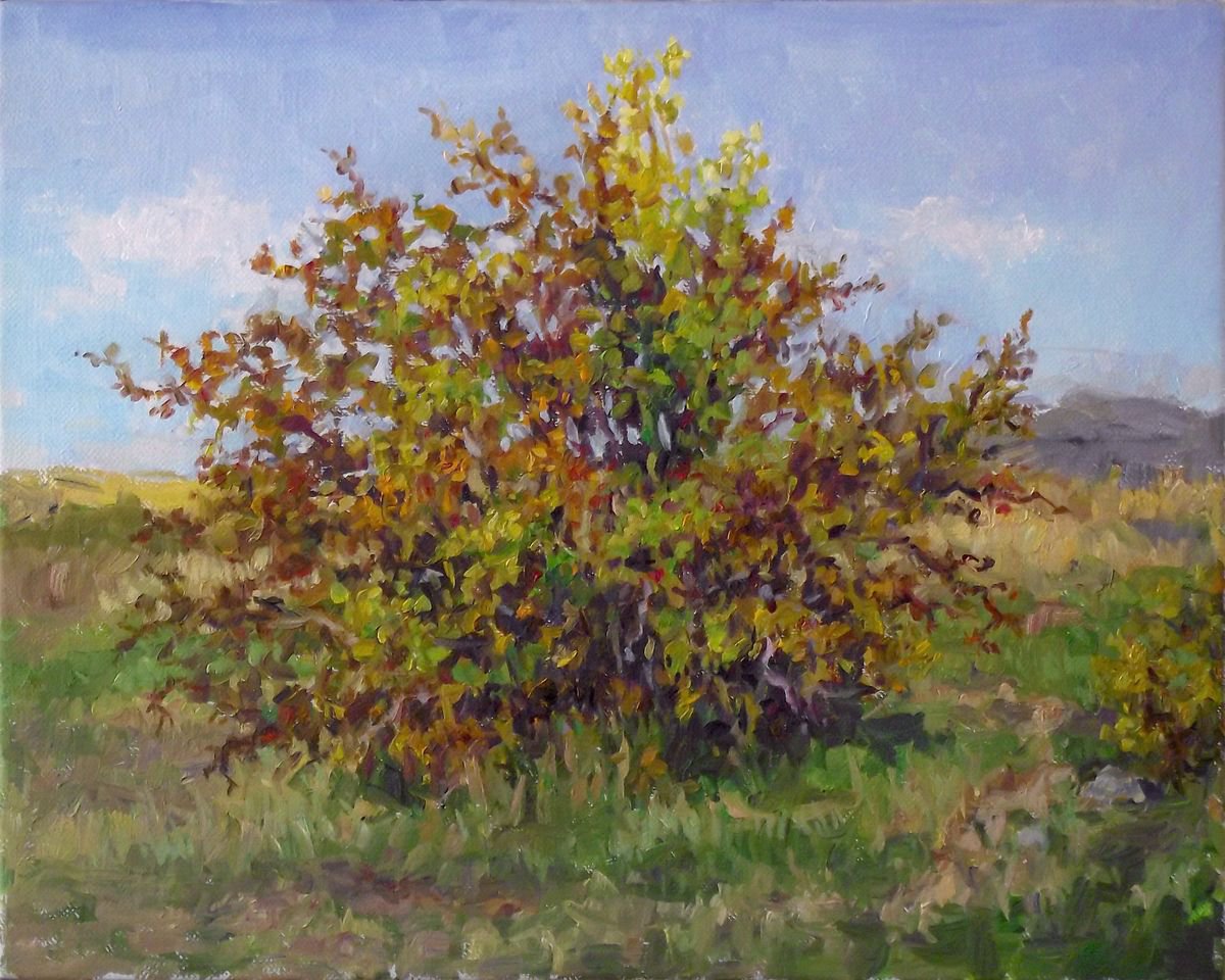 Impressionistic Landscape Oil Painting By Vachagan Manukyan, 12 X 9", Autumn, Brier, Original Artwork