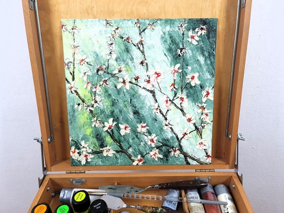 Cherries in bloom 1