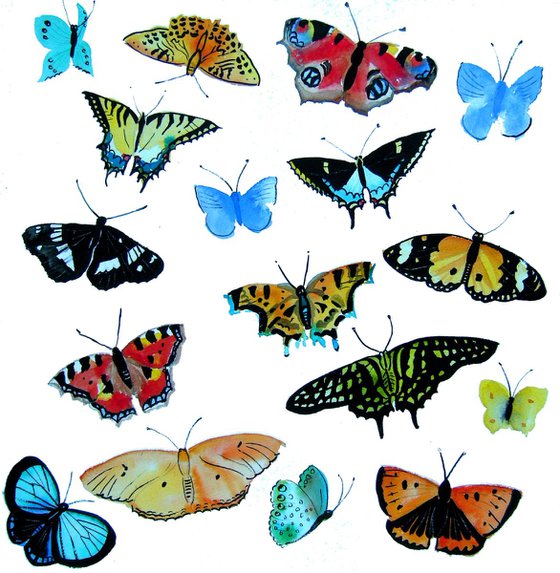 Glorious Butterflies