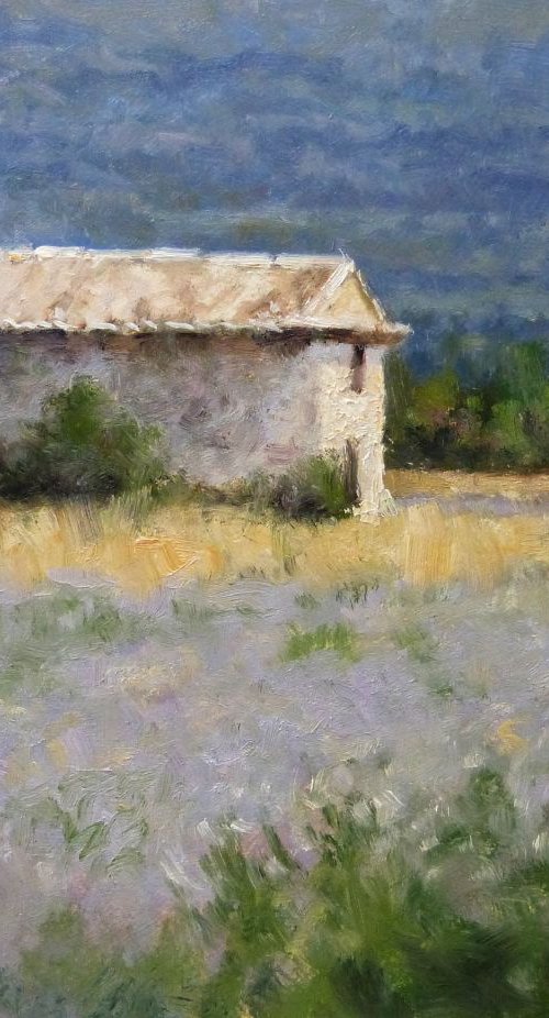 Shed in a Lavender Field by Pascal Giroud