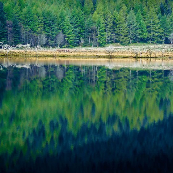 Tranquility at Loch Eck, Scottish Highlands