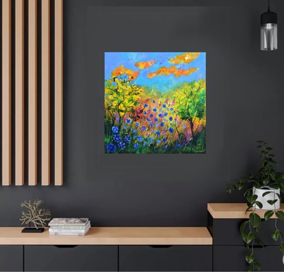 Blue cornflowers  7722