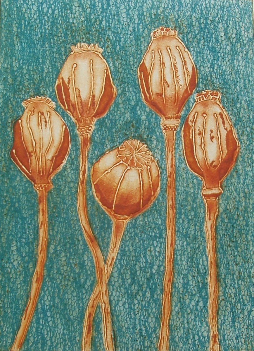 Poppy Seedheads by Sue Roe