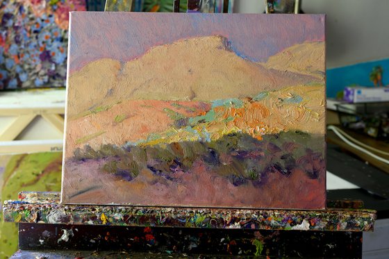 Evening in the Desert