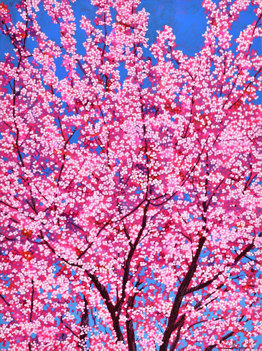  Cherry Blossom #11 By Alex Nizovsky, 30 X 40, Artwork For Sale On Artfinder