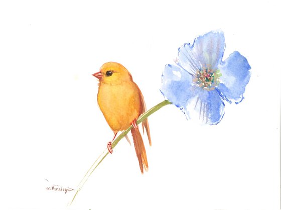 small canary and big blue flower