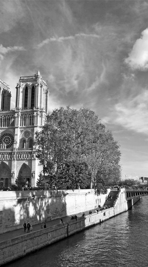 Notre-Dame de Paris by Alex Cassels