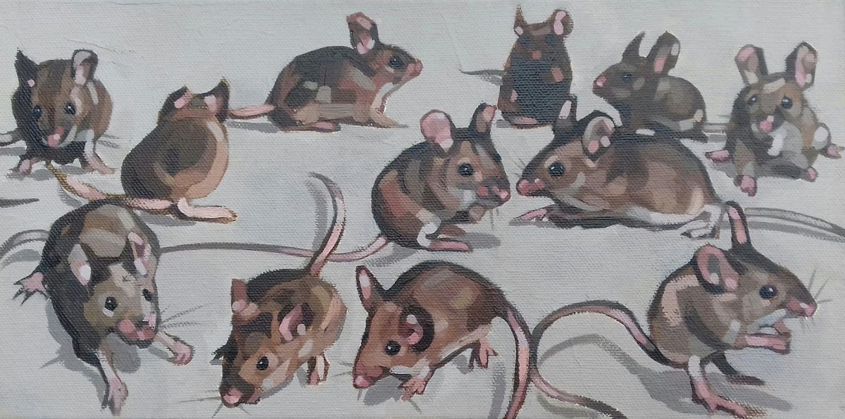 Mice by Matthew Stutely