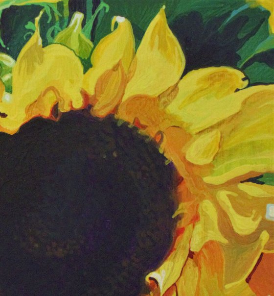 Sunflowers