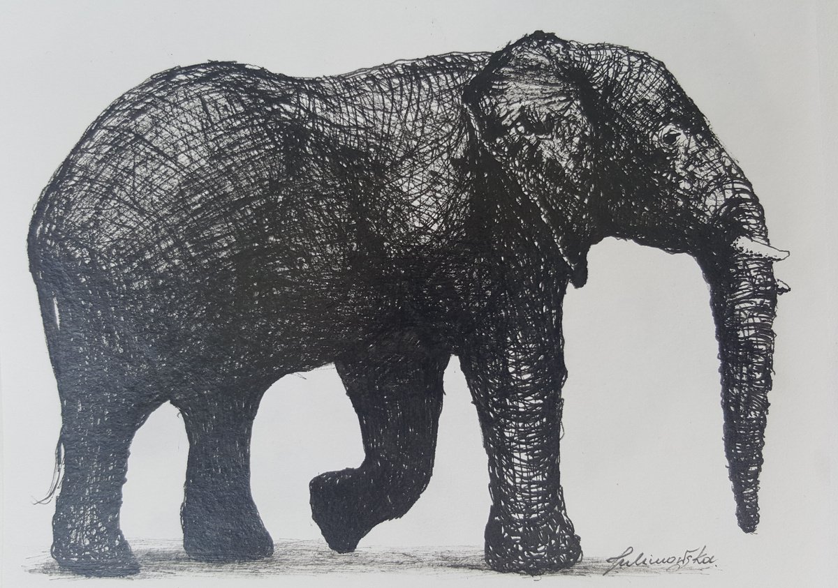 Elephant by Maja Tulimowska - Chmielewska