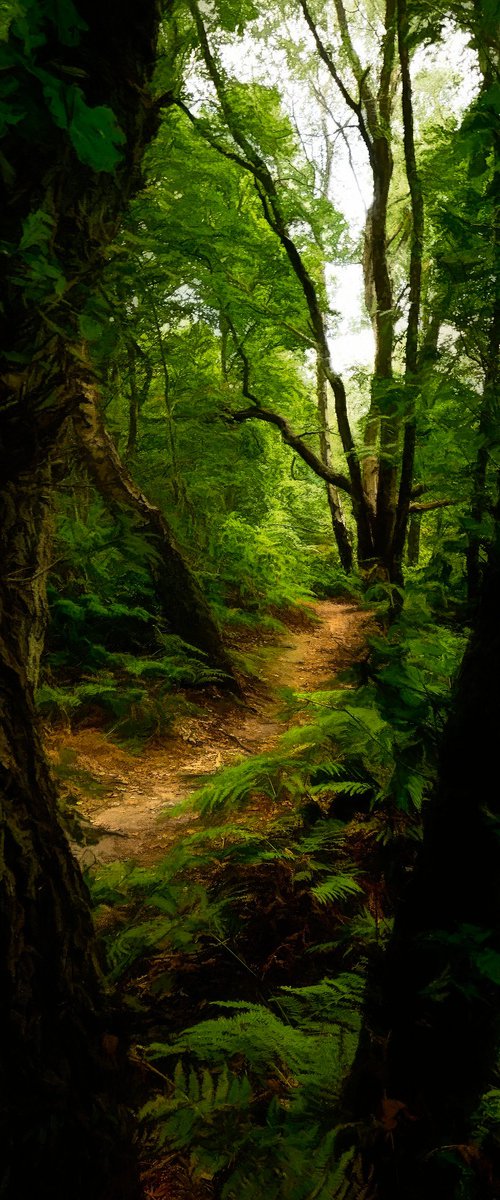 Woodland Path by Martin  Fry