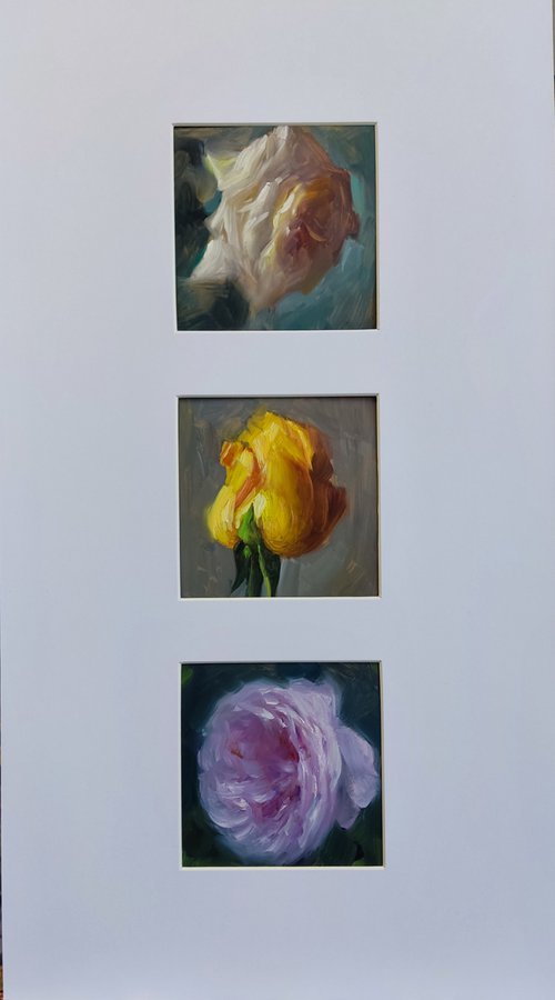 Three Beautiful Roses by HELINDA (Olga Müller)
