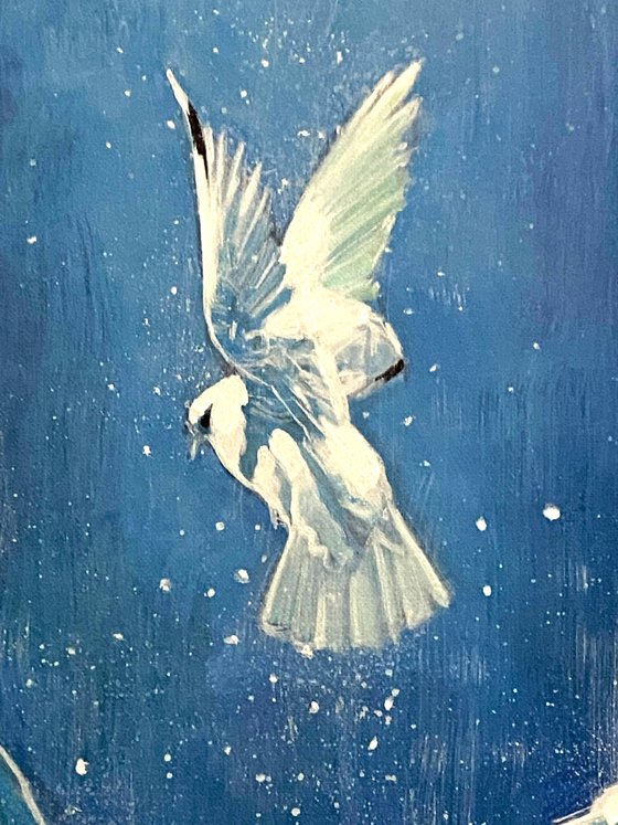 Moonlight and the Dove