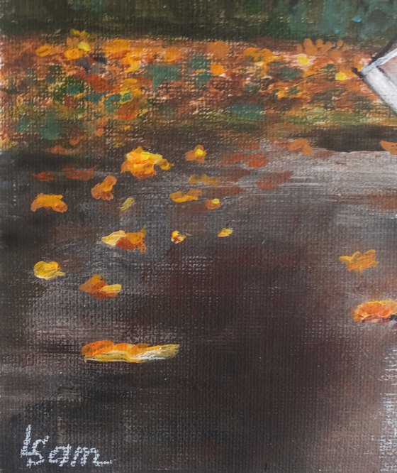 A forgotten umbrella in autumn