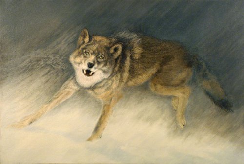 Rider on the Storm by Norman Holmberg