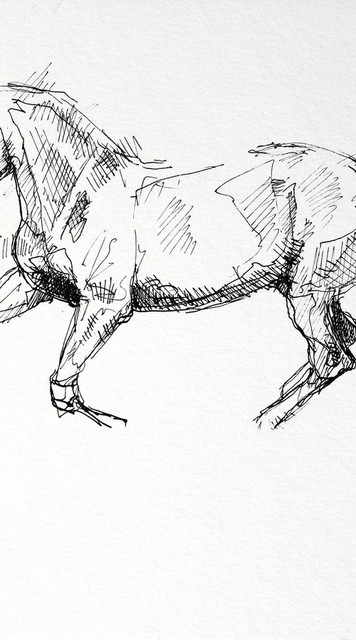 Equine Nude 24a by Benedicte Gele