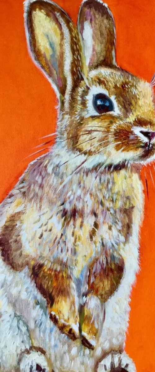 Rabbit golden field by Olga Koval