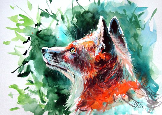 Red fox III