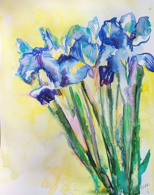 Iris ultramarines by Olga Pascari