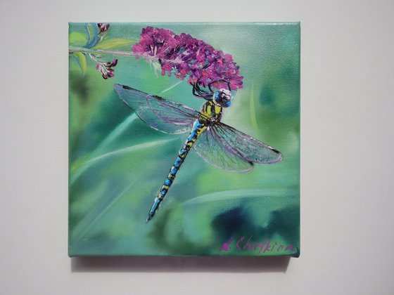 Dragonfly In A Meadow Flowers